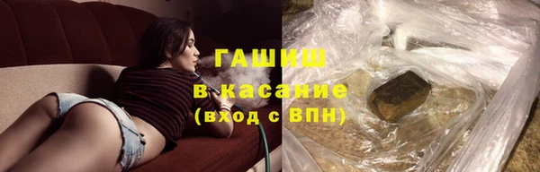 прущие грибы Армянск