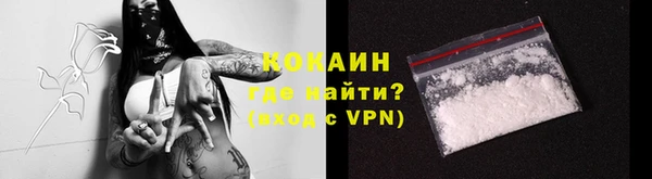 прущие грибы Армянск