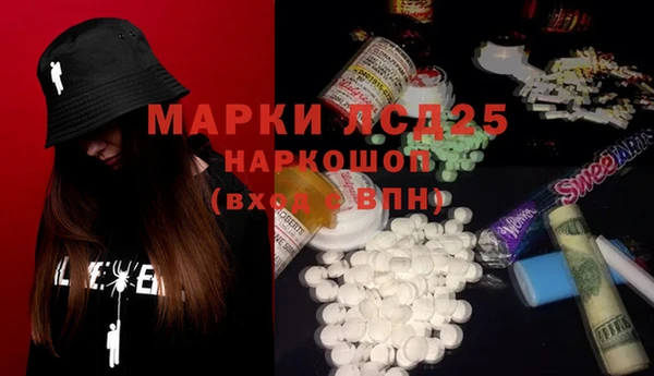 прущие грибы Армянск