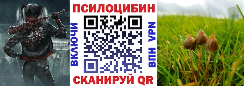 кракен зеркало  Черепаново  Псилоцибиновые грибы Psilocybine cubensis 